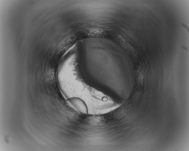 X0000101970711200808081551