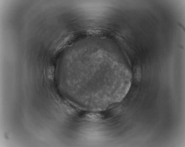 X0000101970712200808081551