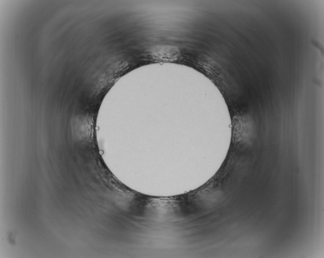 X0000101970713200808081551