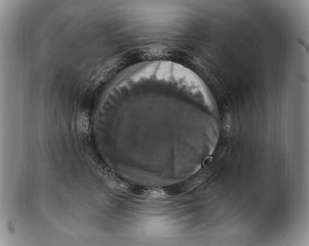 X0000101970715200808081551