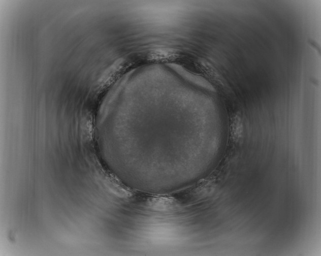 X0000101970716200808081551