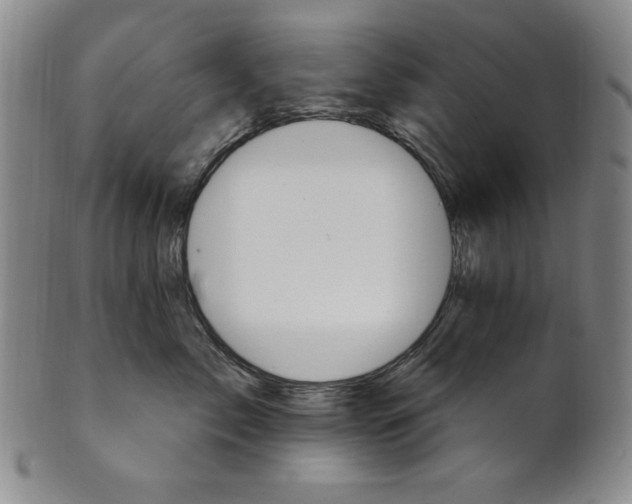 X0000101970717200808081551