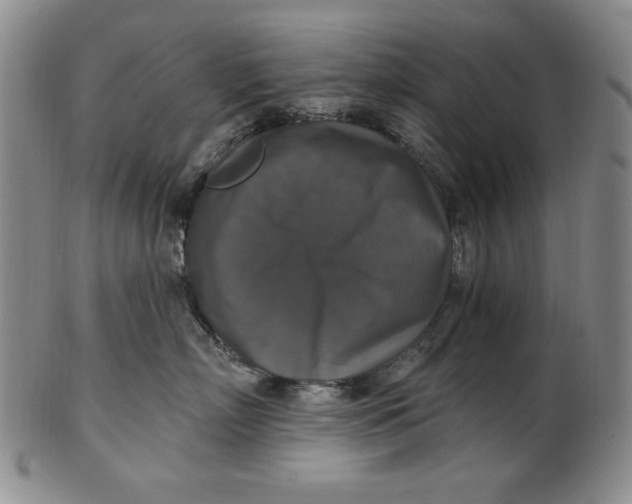 X0000101970718200808081551