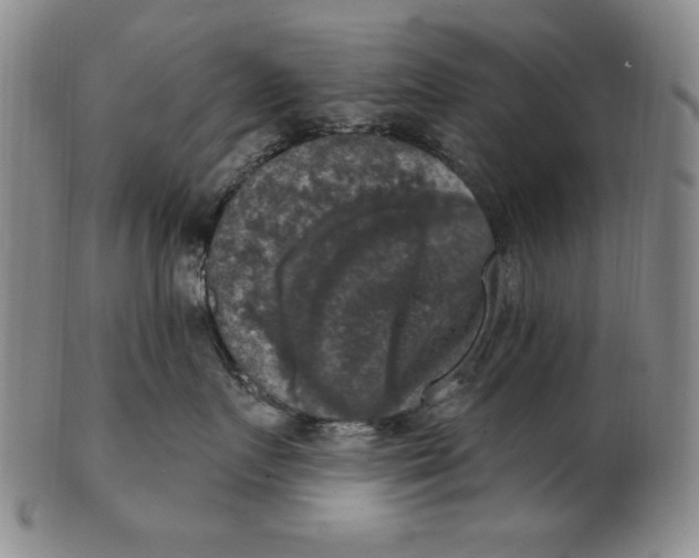 X0000101970719200808081551
