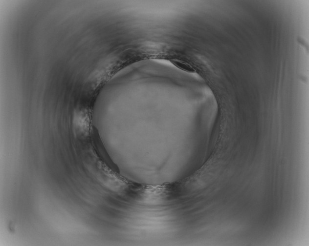 X0000101970720200808081551