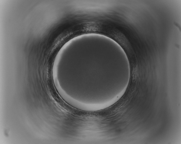 X0000101970722200808081550