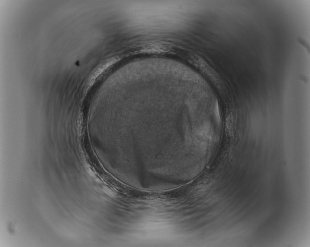 X0000101970724200808081550