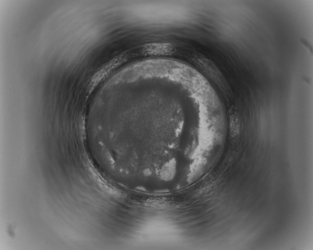 X0000101970725200808081550