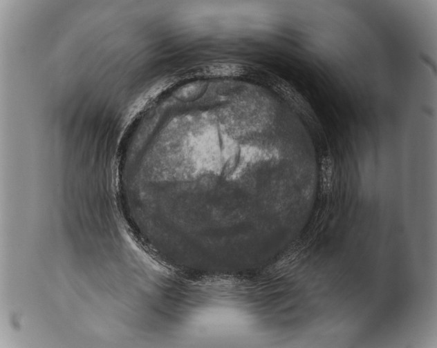 X0000101970726200808081550