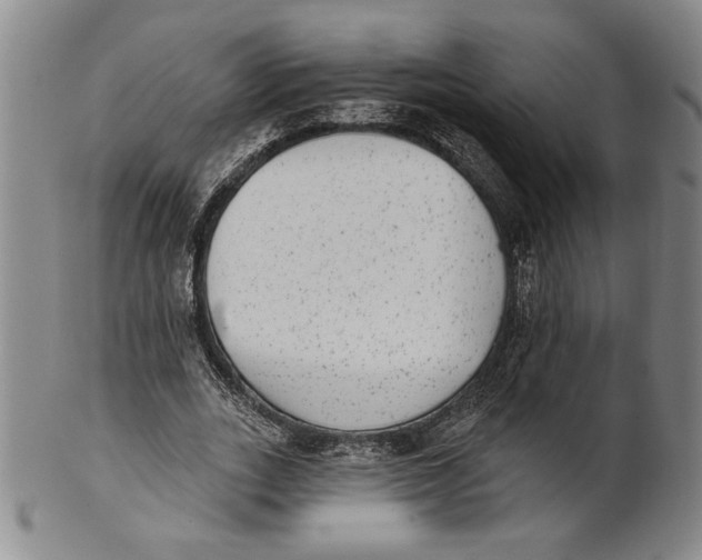 X0000101970727200808081550