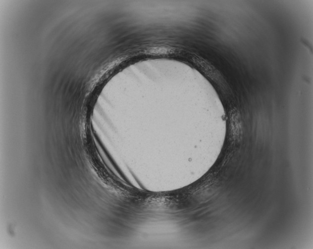 X0000101970728200808081550