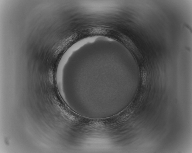 X0000101970729200808081550