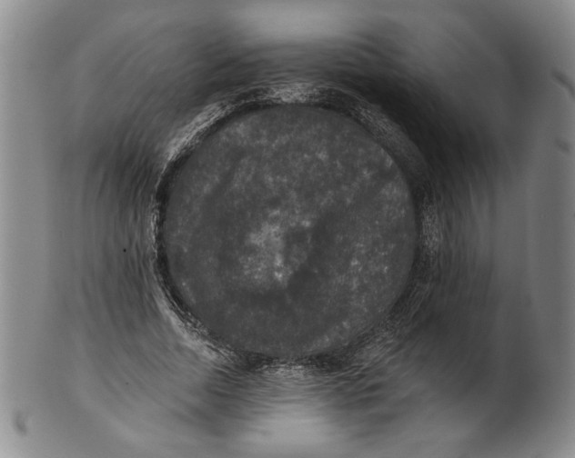 X0000101970730200808081550