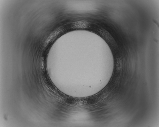 X0000101970731200808081550