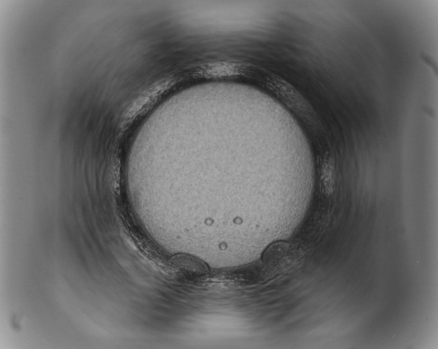 X0000101970732200808081550