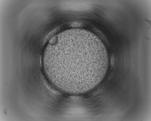 X0000101970733200808081550