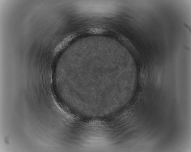 X0000101970734200808081550