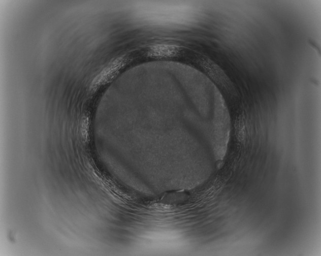 X0000101970735200808081550