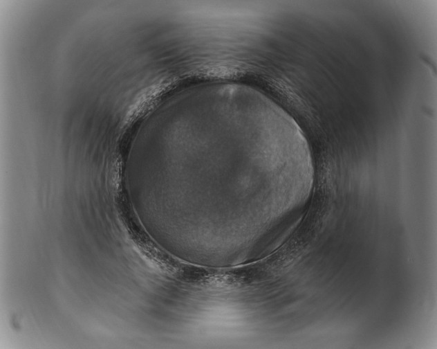 X0000101970736200808081550