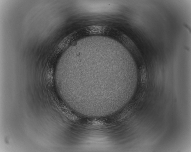 X0000101970737200808081550