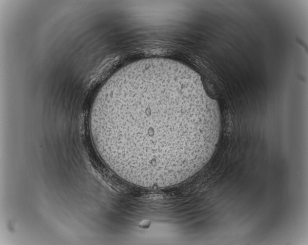 X0000101970738200808081550