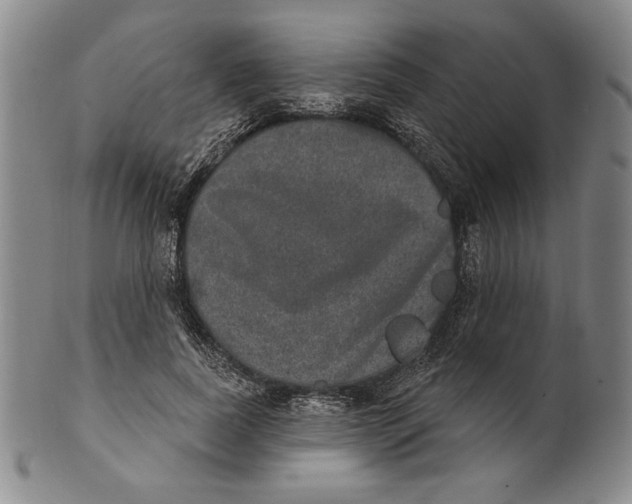 X0000101970739200808081550