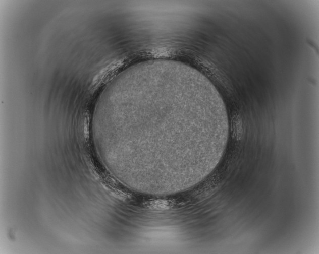 X0000101970740200808081550