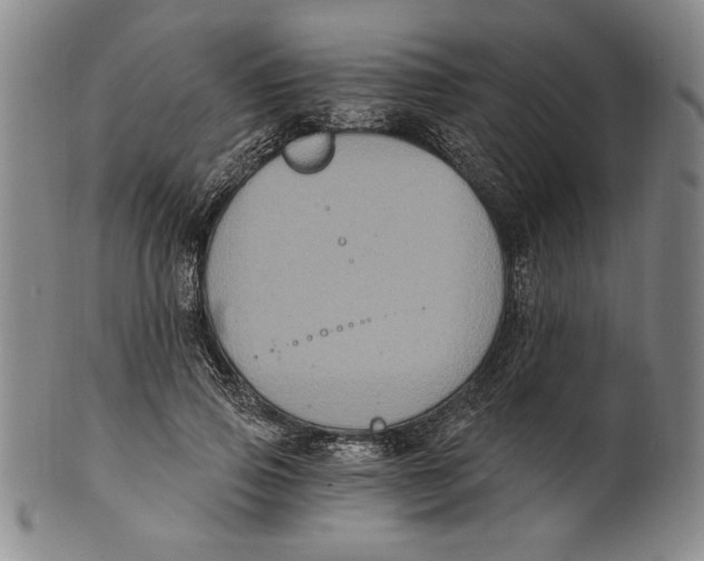 X0000101970741200808081551