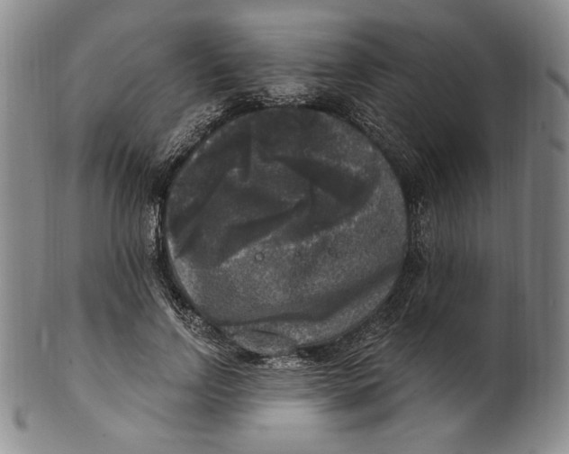 X0000101970742200808081551