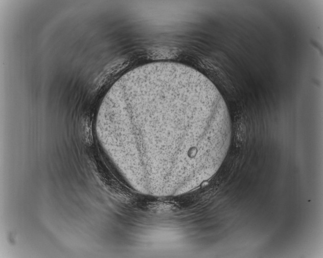 X0000101970743200808081551
