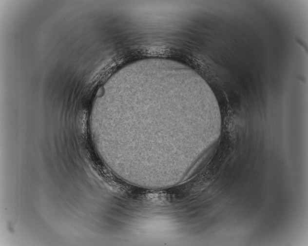 X0000101970744200808081551