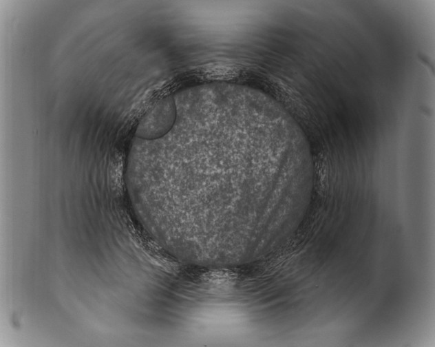 X0000101970745200808081551
