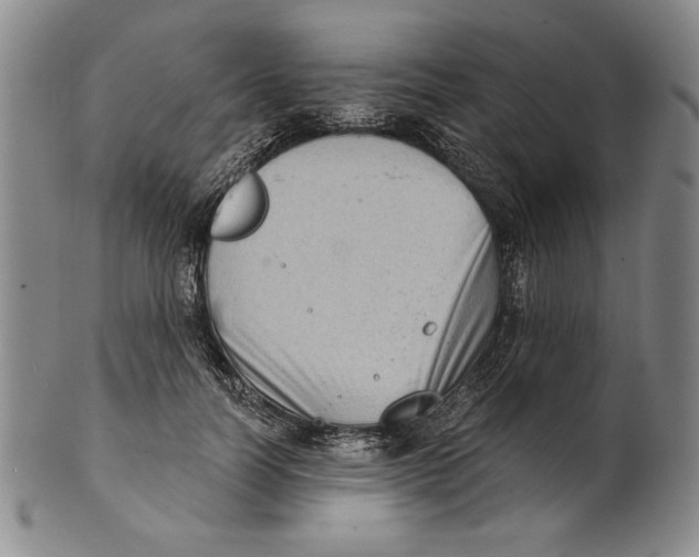 X0000101970746200808081551