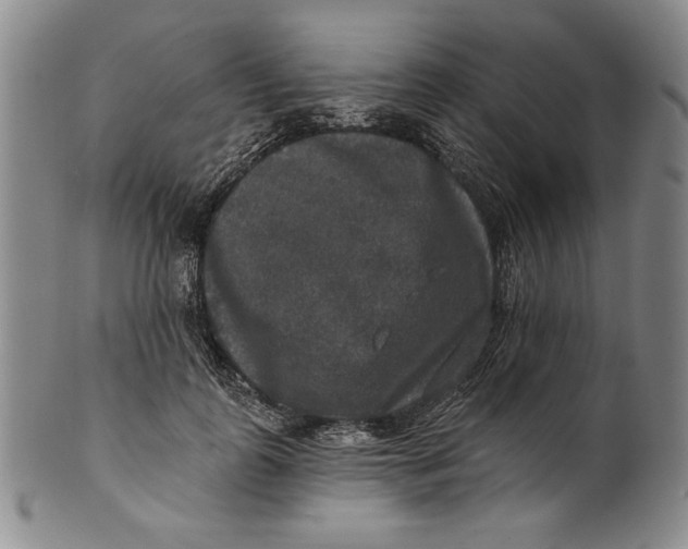 X0000101970747200808081551