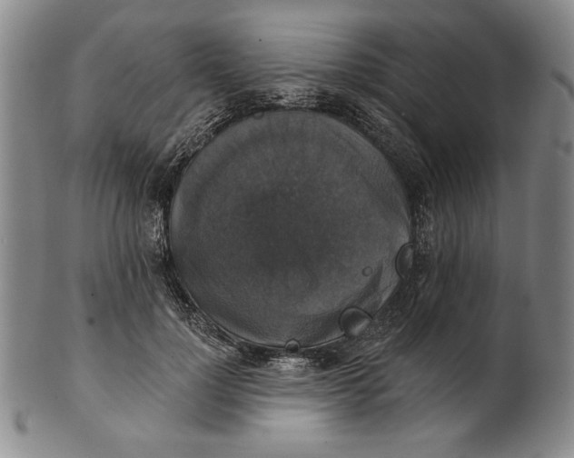 X0000101970748200808081551