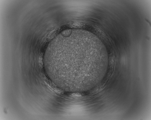 X0000101970749200808081551