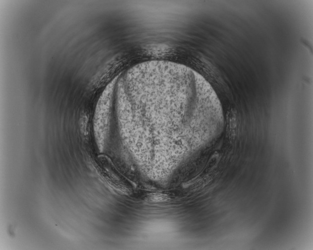 X0000101970750200808081551