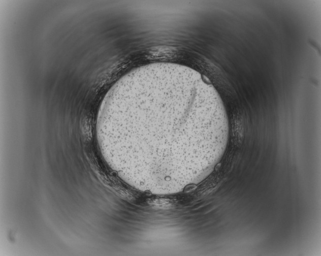 X0000101970751200808081551