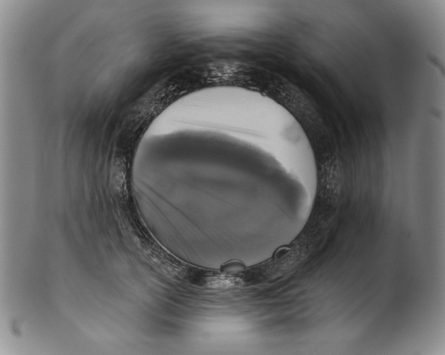 X0000101970754200808081551