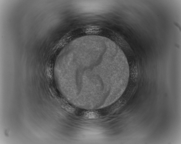 X0000101970755200808081551