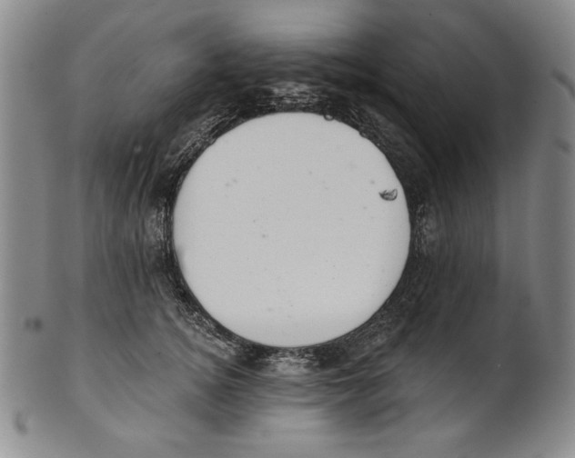 X0000101970756200808081551