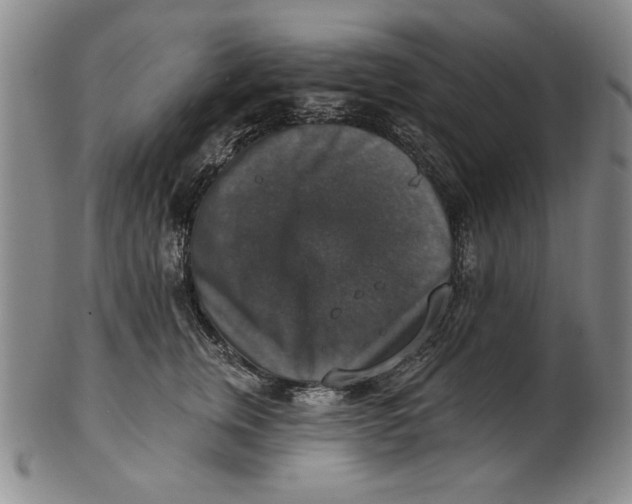 X0000101970759200808081551