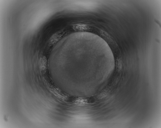 X0000101970760200808081551