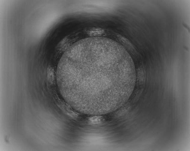 X0000101970761200808081551