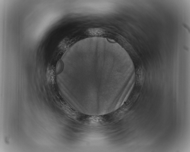 X0000101970762200808081551