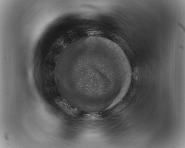 X0000101970763200808081551