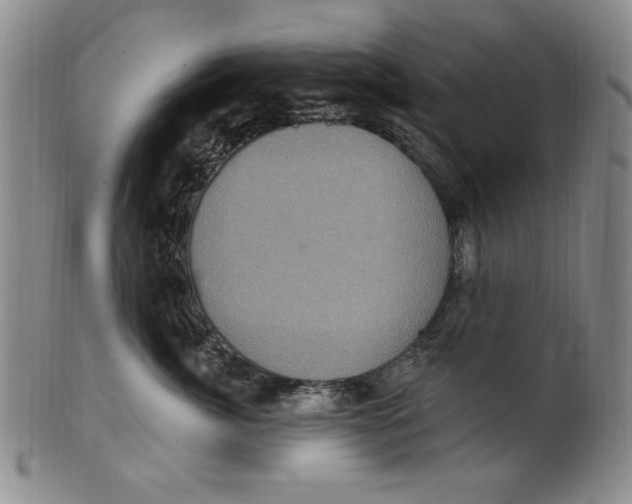 X0000101970764200808081551