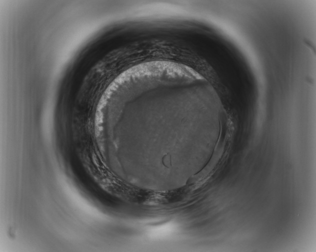 X0000101970765200808081551