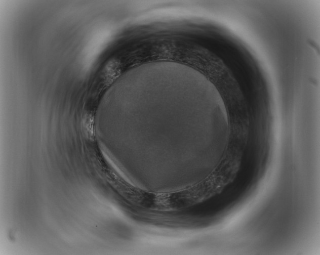 X0000101970766200808081551