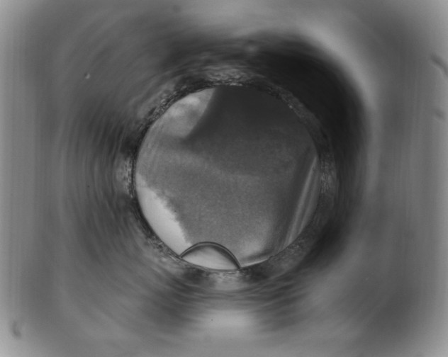 X0000101970767200808081551